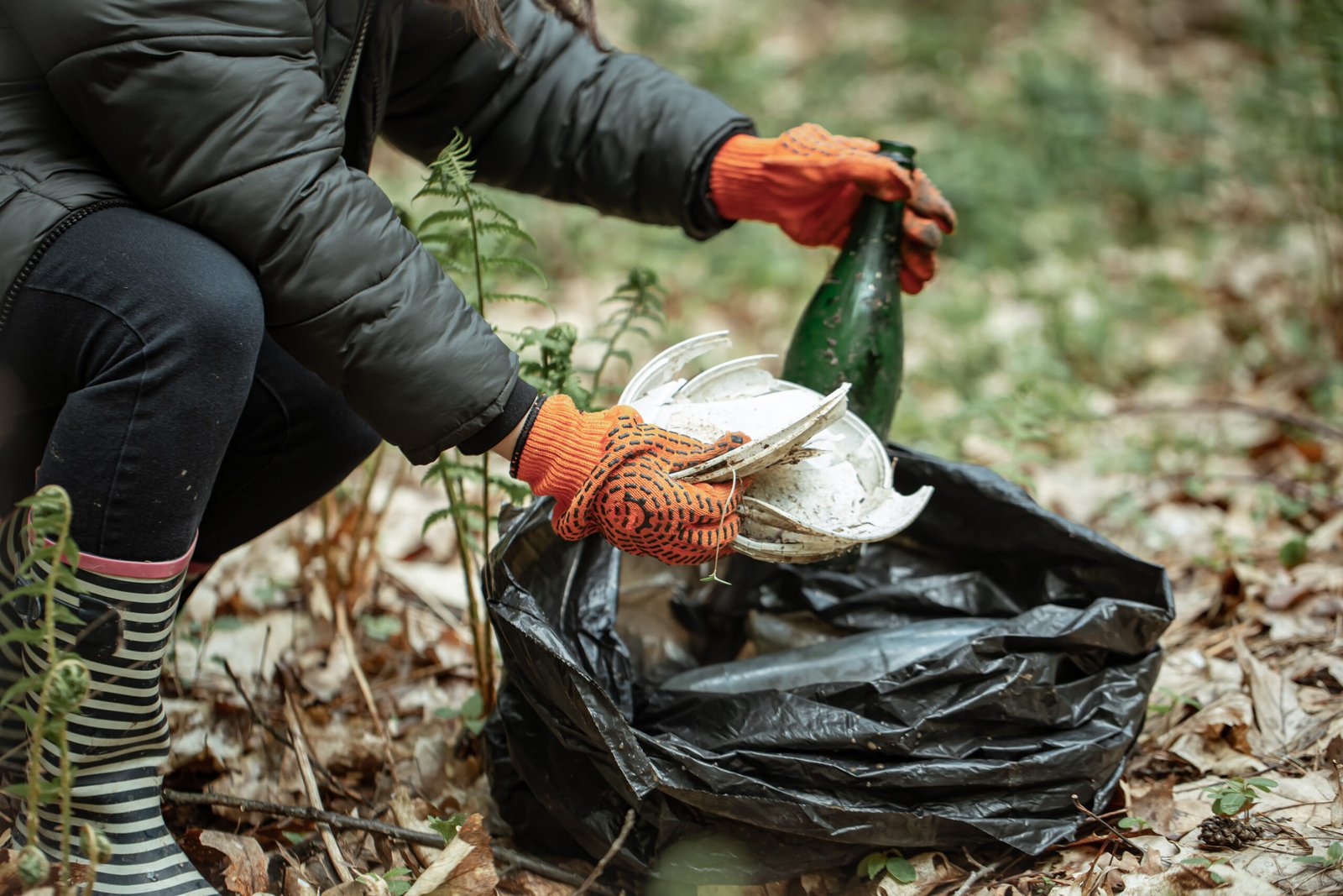 Garden waste removal